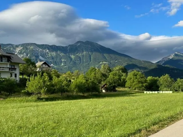 Mia Dream Apartma Bled